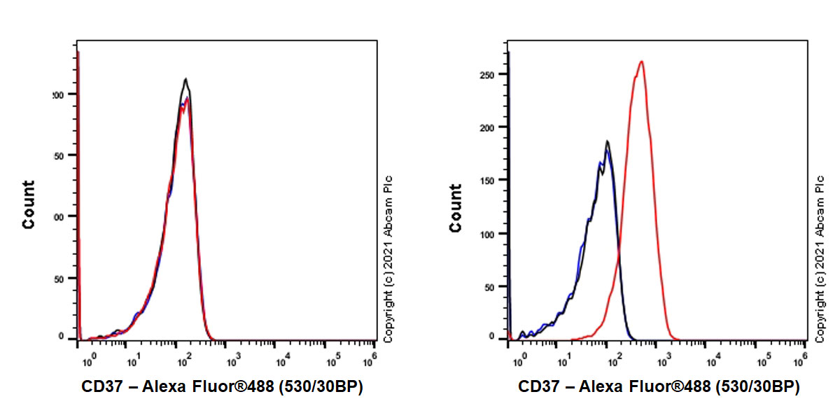 Flow Cytometry - Anti-CD37 antibody [EPR25397-136] - BSA and Azide free (AB288448), expandable thumbnail