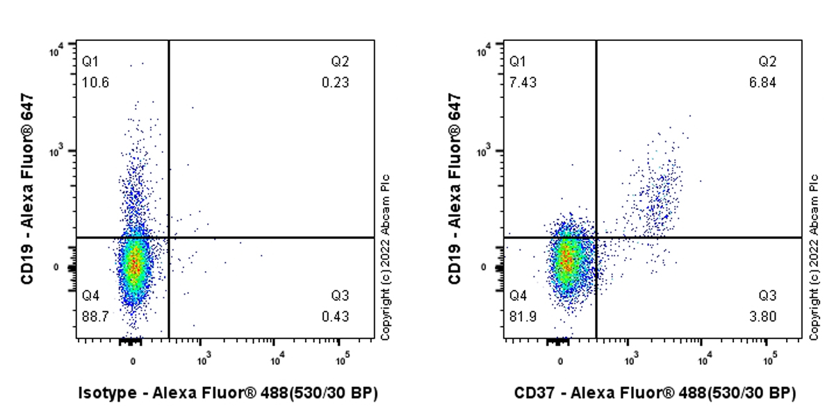 Flow Cytometry (Intracellular) - Anti-CD37 antibody [EPR25397-149] (BSA and Azide free) (AB300412), expandable thumbnail