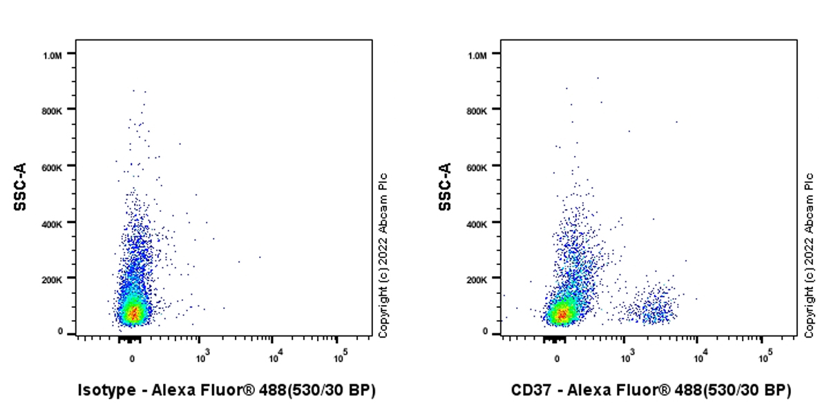 Flow Cytometry (Intracellular) - Anti-CD37 antibody [EPR25397-149] (BSA and Azide free) (AB300412), expandable thumbnail