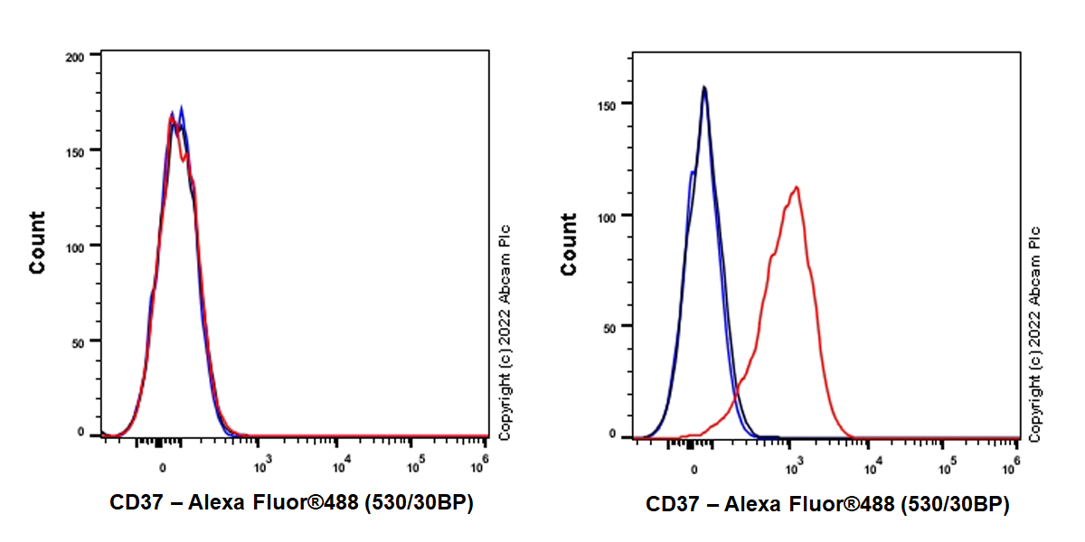 Flow Cytometry (Intracellular) - Anti-CD37 antibody [EPR25397-149] (BSA and Azide free) (AB300412), expandable thumbnail