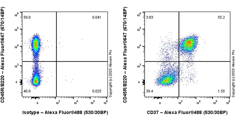 Flow Cytometry - Anti-CD37 antibody [EPR28769-31] - BSA and Azide free (AB315347)