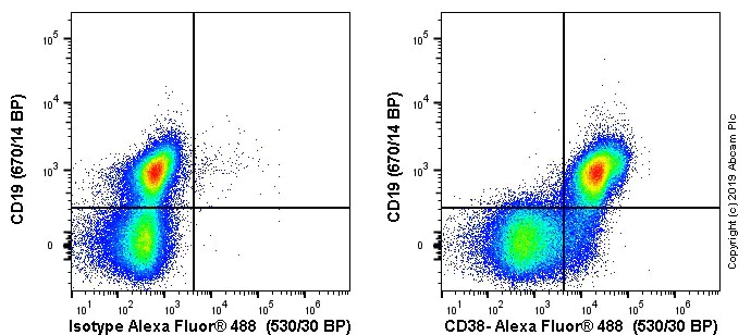Flow Cytometry - Anti-CD38 antibody [90] (AB61400)