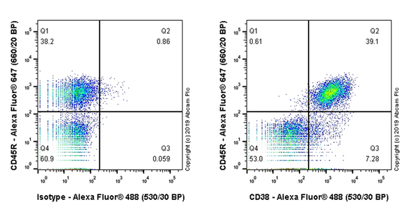 Flow Cytometry - Anti-CD38 antibody [EPR22691-219] (AB235590), expandable thumbnail