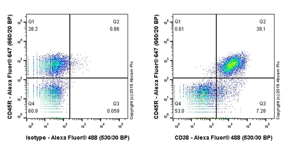 Flow Cytometry - Anti-CD38 antibody [EPR22691-219] - BSA and Azide free (AB255693)