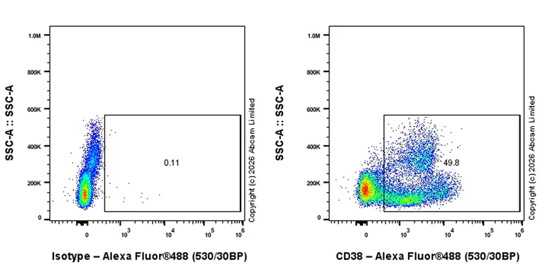 Flow Cytometry - Anti-CD38 antibody [EPR31124-571] - BSA and Azide free (AB326885)