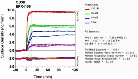 OI-RD Scanning - Anti-CD38 antibody [EPR4106] - BSA and Azide free (ab226034), expandable thumbnail
