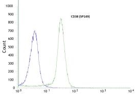 Flow Cytometry - Anti-CD38 antibody [SP149] - C-terminal (AB183326), expandable thumbnail