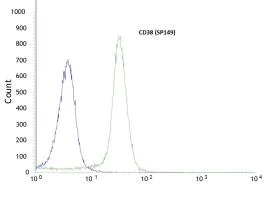 Flow Cytometry - Anti-CD38 antibody [SP149] - C-terminal (AB183326)