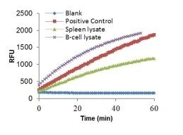 Functional Studies - CD38 (Cyclase) Activity Assay Kit (Fluorometric) (AB284540)