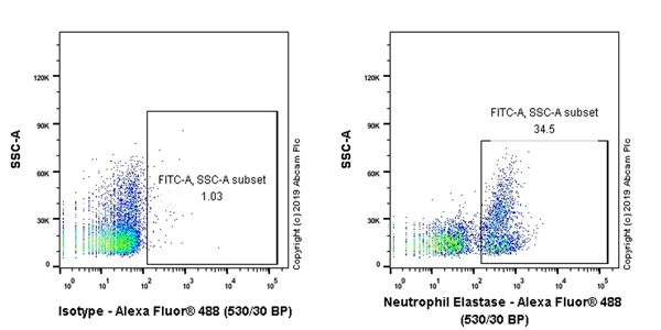 Flow Cytometry - Anti-CD39 antibody [AC2] - BSA and Azide free (AB256129)