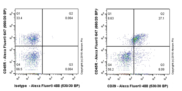 Anti-CD39 antibody [EPR22507-48] - BSA and Azide free