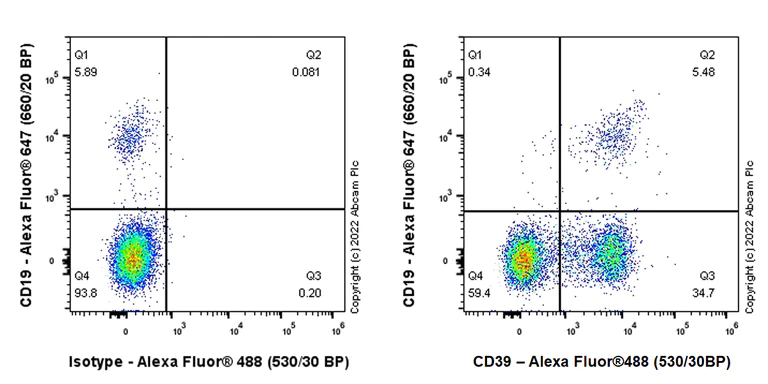 Flow Cytometry - Anti-CD39 antibody [EPR26473-58] (BSA and Azide free) (AB300066)