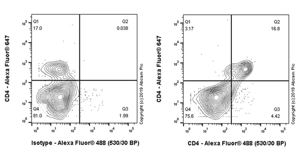 Flow Cytometry (Intracellular) - Anti-CD4 antibody [CAL4] (AB237722)
