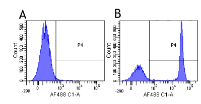 Flow Cytometry - Anti-CD4 antibody [Campath-9H] - Rabbit IgG (Chimeric) (AB275975)