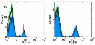 Flow Cytometry - Anti-CD40 antibody [5C3] - Low endotoxin, Azide free (AB185746)