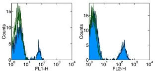 Flow Cytometry - Anti-CD40 antibody [5C3] - Low endotoxin, Azide free (AB185746)