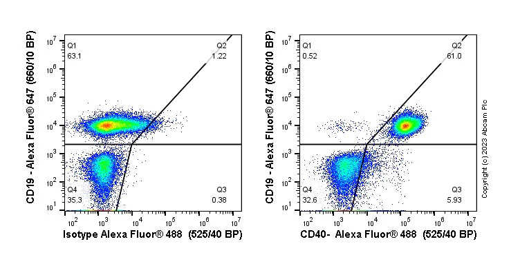 Flow Cytometry - Anti-CD40 antibody [EPR18005-35] - BSA and Azide free (AB227932)