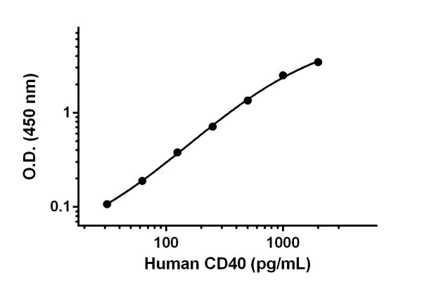Sandwich ELISA - Anti-CD40 antibody [EPR19129-22] - BSA and Azide free (Capture) (AB242953)
