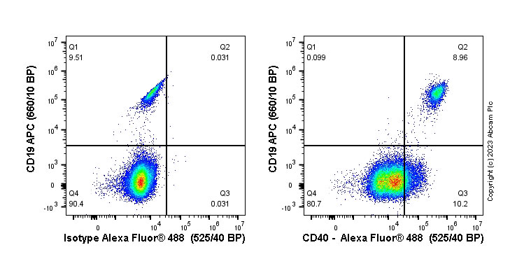 Flow Cytometry - Anti-CD40 antibody [EPR20735] - BSA and Azide free (ab228818), expandable thumbnail