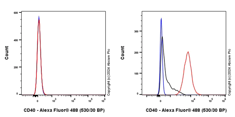 Flow Cytometry - Anti-CD40 antibody [RM1193] (AB317586)