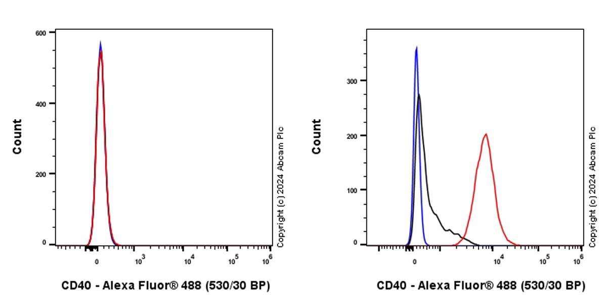 Flow Cytometry - Anti-CD40 antibody [RM1193] - BSA and Azide free (AB317587), expandable thumbnail