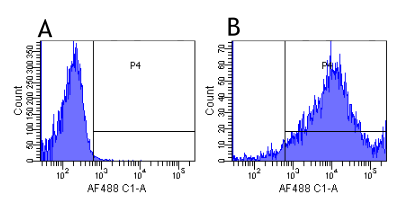 Flow Cytometry - Anti-CD41 antibody [7E3 (Abciximab)] - Rabbit IgG (Chimeric) (AB275976), expandable thumbnail