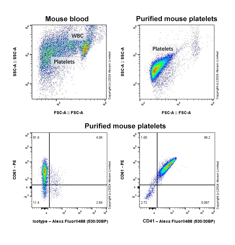 Flow Cytometry - Anti-CD41 antibody [EPR27293-723] (AB323271), expandable thumbnail