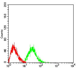 Flow Cytometry - Anti-CD42b antibody [6H6H10] (AB233794)