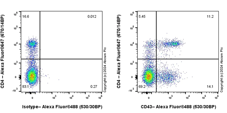 Flow Cytometry - Anti-CD43 antibody [EPR28619-85] (AB317313)