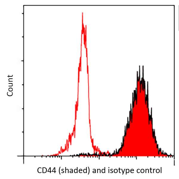 Flow Cytometry - Anti-CD44 antibody [BLR038F] (AB243894), expandable thumbnail
