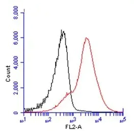 Flow Cytometry - Anti-CD45 antibody (AB154885)