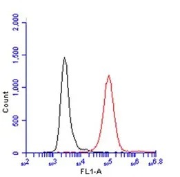 Flow Cytometry - Anti-CD45 antibody (AB154885)