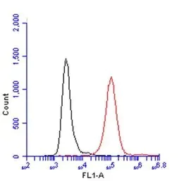 Flow Cytometry - Anti-CD45 antibody (AB154885)