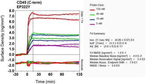 OI-RD Scanning - Anti-CD45 antibody [EP322Y] (AB40763)