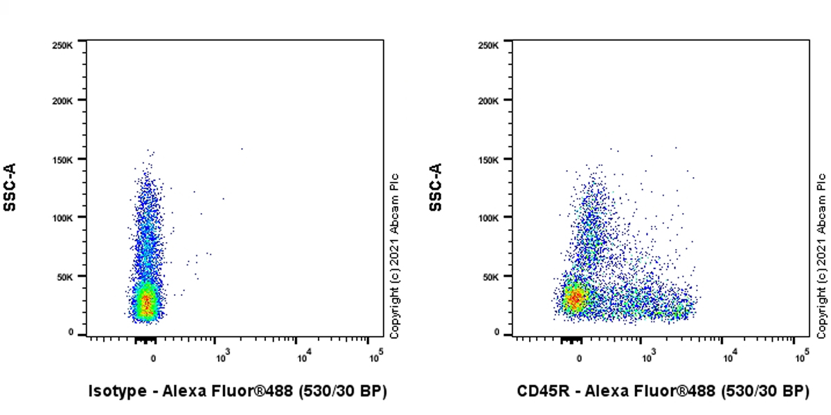 Flow Cytometry - Anti-CD45R antibody [YTH 80.103] (AB283506), expandable thumbnail