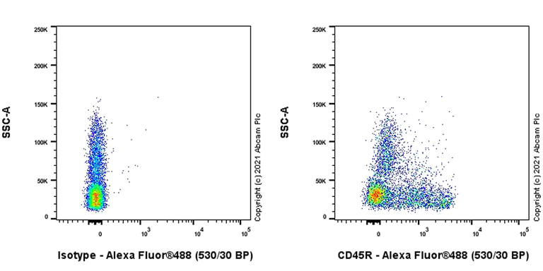 Flow Cytometry - Anti-CD45R antibody [YTH 80.103] (AB283506)