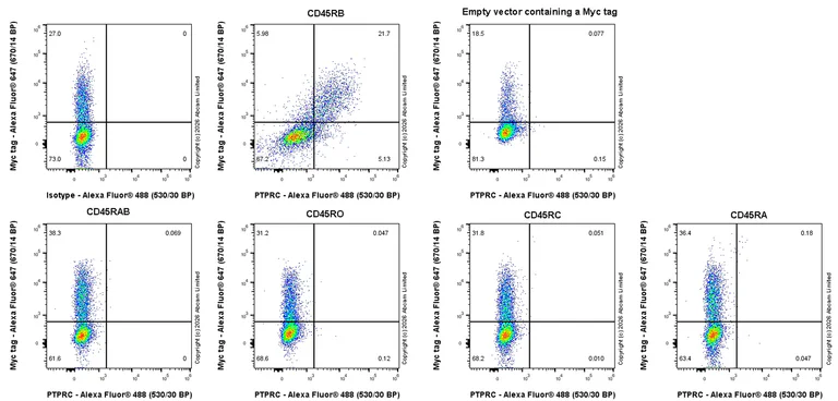 Flow Cytometry - Anti-CD45RB antibody [EPR31068-523] (AB326720)