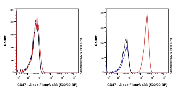 Flow Cytometry - Anti-CD47 antibody [EPR23002-67] (AB256495)