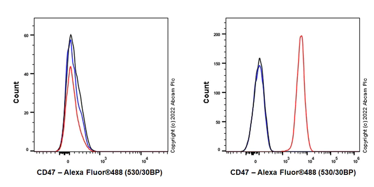 Flow Cytometry - Anti-CD47 antibody [EPR24922-21] (BSA and Azide free) (AB300125)