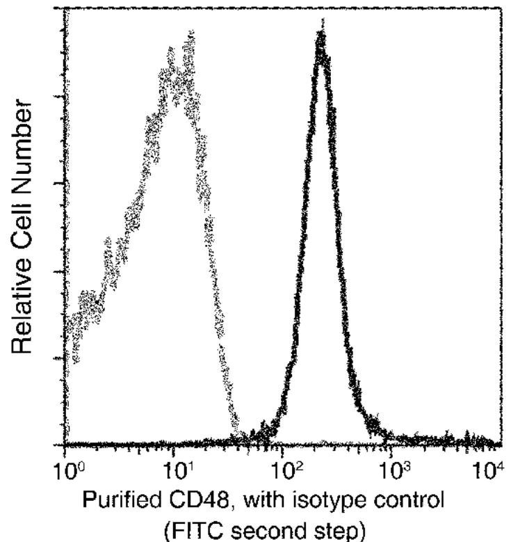 Flow Cytometry - Anti-CD48 antibody [341] - BSA and Azide free (AB277141)
