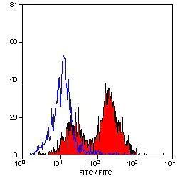 Flow Cytometry - Anti-CD5 antibody [CC17] (AB34070)