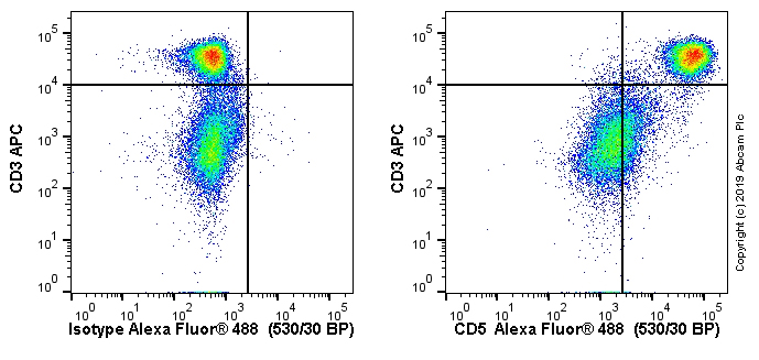 Flow Cytometry - Anti-CD5 antibody [OX19] - BSA and Azide free (AB244582), expandable thumbnail