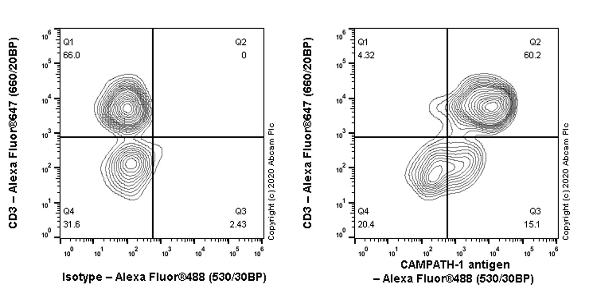 Flow Cytometry - Anti-CD52 antibody [EPR23855-41] (AB259794), expandable thumbnail