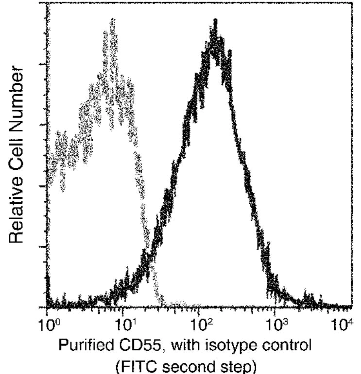 Flow Cytometry - Anti-CD55 antibody [076] - BSA and Azide free (AB276037)