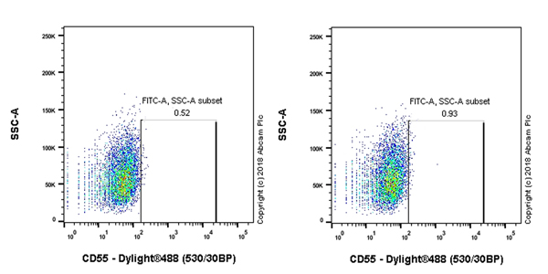 Flow Cytometry - Anti-CD55 antibody [EPR22362-255] - BSA and Azide free (AB243560), expandable thumbnail