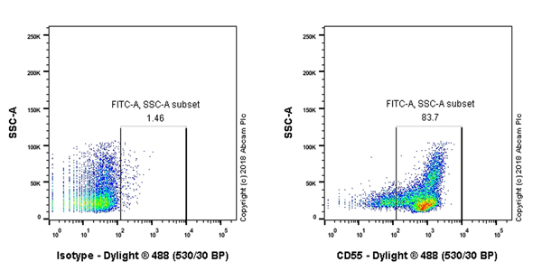 Flow Cytometry - Anti-CD55 antibody [EPR22362-255] - BSA and Azide free (AB243560), expandable thumbnail
