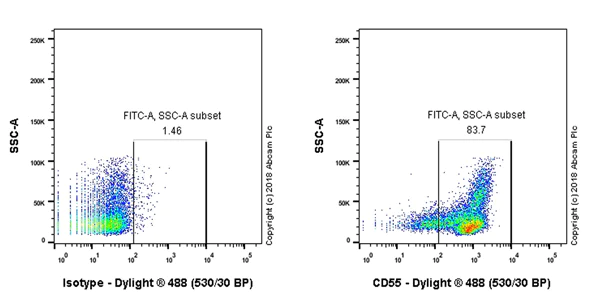 Flow Cytometry - Anti-CD55 antibody [EPR22362-255] - BSA and Azide free (AB243560)