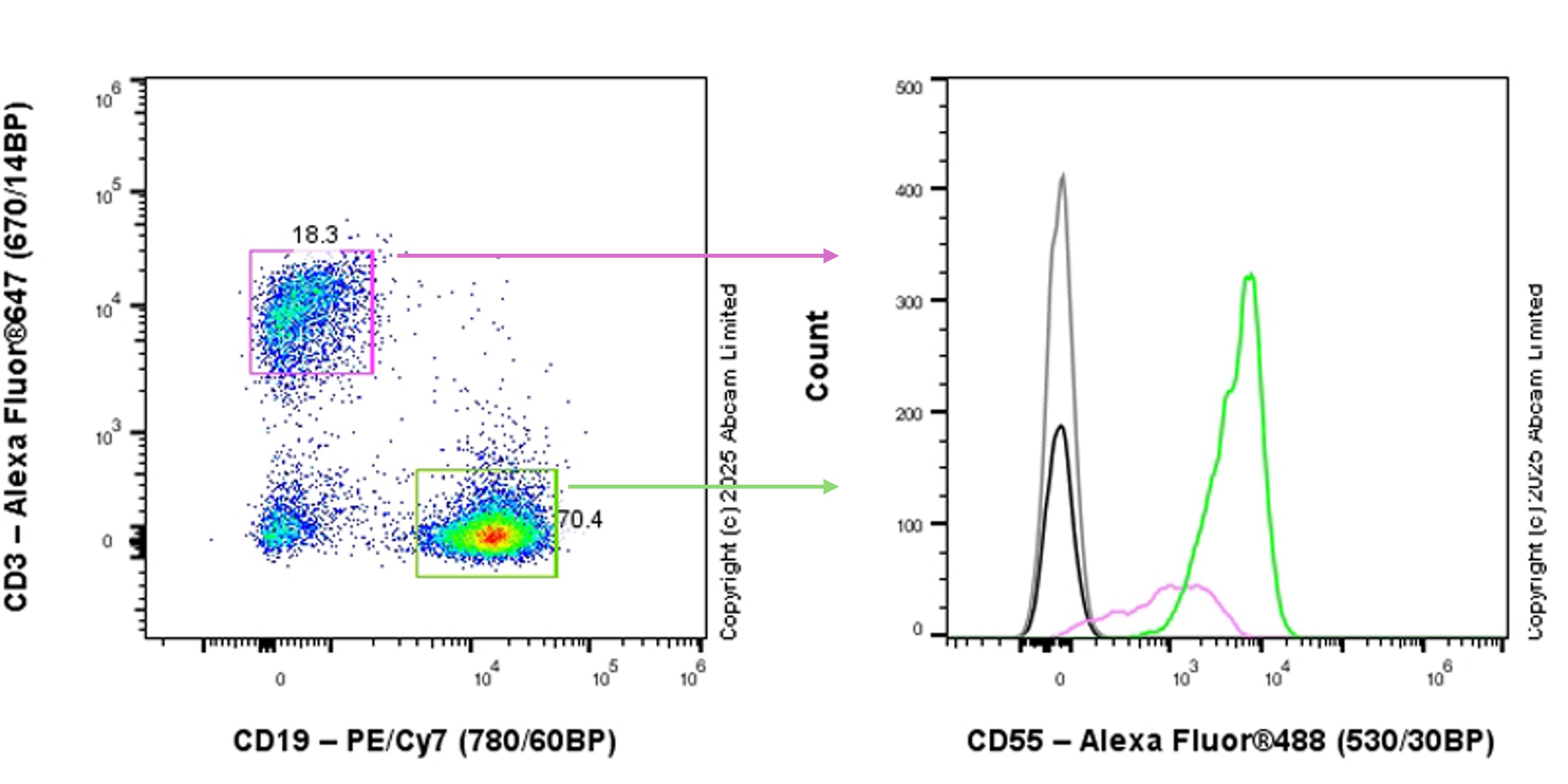 Flow Cytometry - Anti-CD55 antibody [EPR28962-549]  - BSA and Azide free (AB324068), expandable thumbnail