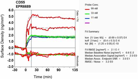 OI-RD Scanning - Anti-CD55 antibody [EPR6689] - BSA and Azide free (AB230797), expandable thumbnail