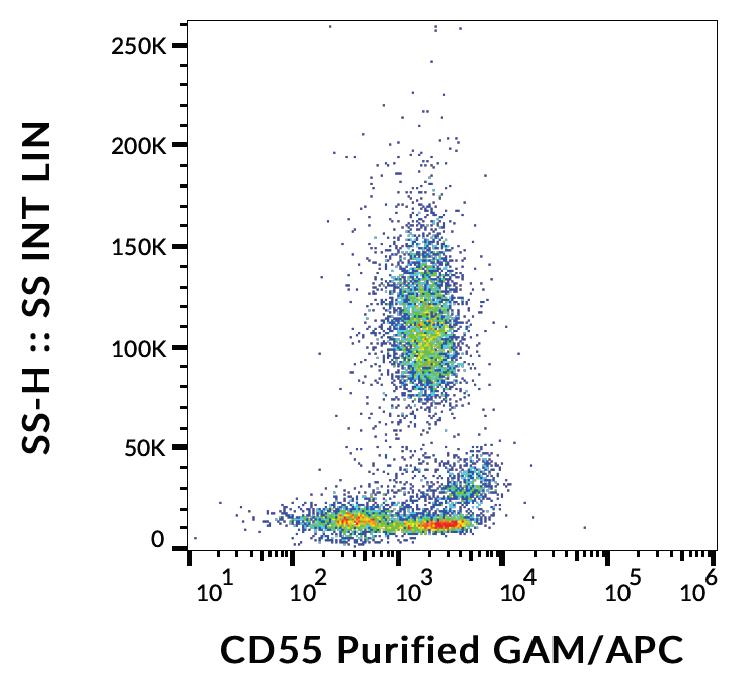 Flow Cytometry - Anti-CD55 antibody [MEM-118] (AB1422)